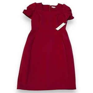 Elegant Red Dress